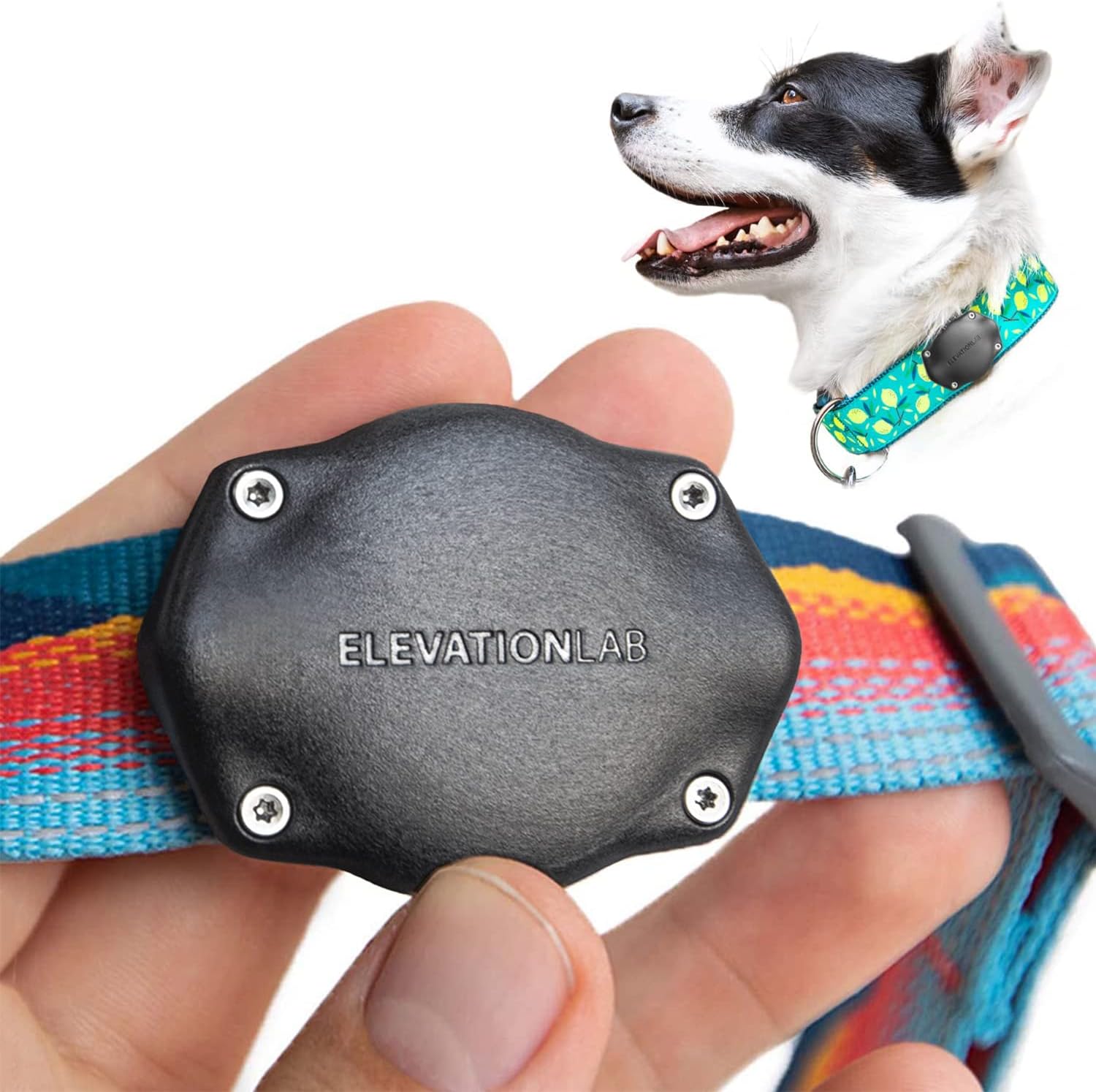 Best AirTag Dog Collar Holders