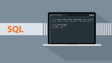 What Is SQL? A Beginner's Guide to the SQL Programming