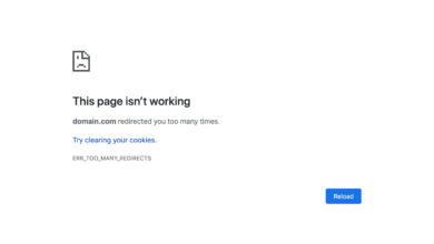 How To Solve This Webpage has a Redirect Loop Problem