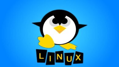 Which Linux VPS server log files you should monitor