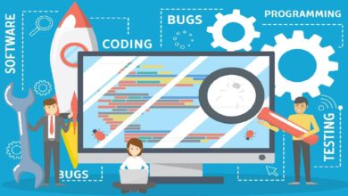 Software Penetration Testing