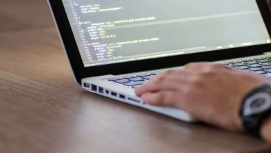 Top Common Types of Bugs in Software Testing