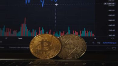 Top Stablecoins That Are Dominating the Crypto Market