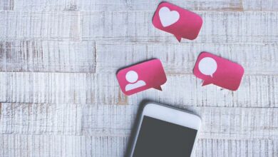 Instagram Growth Insights
