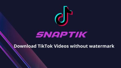 Snaptik: A Free Tool To Download TikTok Videos Without Watermark?