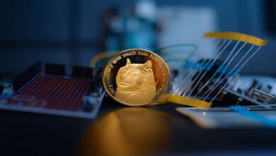 Reasons Why Meme Coins Are Popular