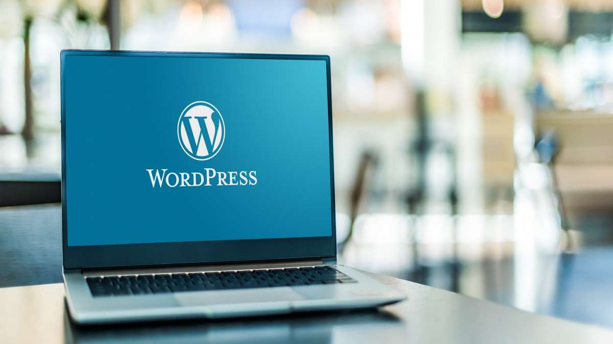 How bloghold.com Compares to Established Blogging Platforms Like WordPress