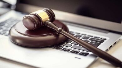 Legal Status and Copyright Considerations