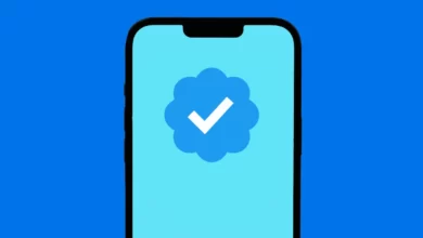 TWITTER BLUE Is FOR YOU If You NEED These 6 Things