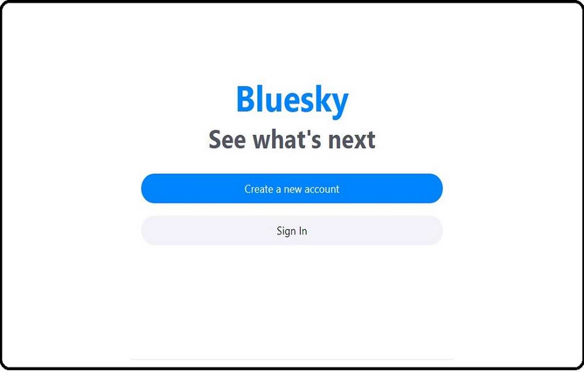 Bluesky: a trendy alternative to X