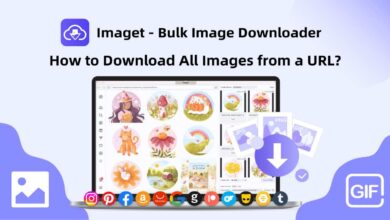 Imaget Downloader