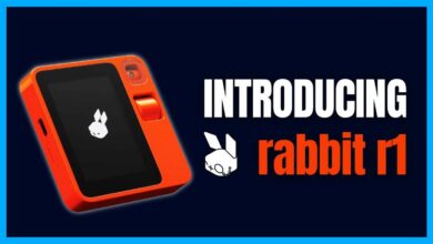 Rabbit r1