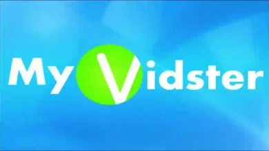 How to fix Myvidster website isn't working