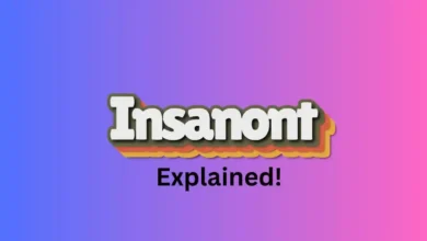 Insanont meaning explained