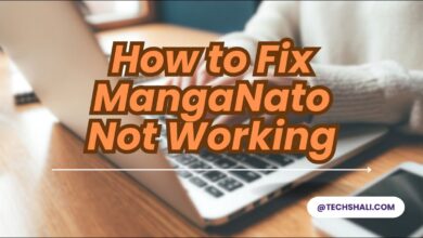 Fix MangaNato Not Working