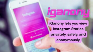 iGanony Instagram Story Viewer