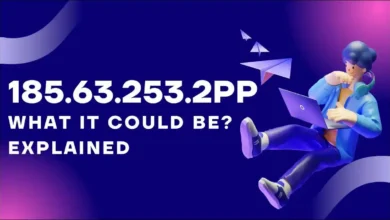 185.63.253.2 Explained