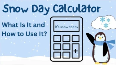 Snow Day Calculator