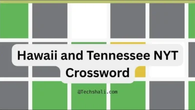 Hawaii and Tennessee NYT Crossword