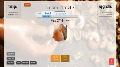 Nut Simulator explained, learn what is, and how to use it.