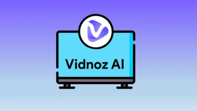 Vidnoz AI Tools