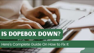 Is DopeBox website not loading? Learn why it is down and discover simple fixes like using a VPN, clearing your cache, or trying mirror sites.