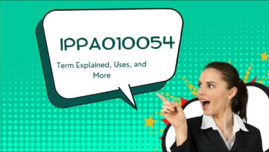 Learn what IPPA010054 means, and how this code helps businesses work better, protects new ideas, and tracks digital content.