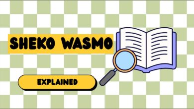 In Somali, "Sheeko" means story, and "Wasmo" often points to personal or intimate moments.