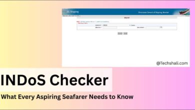 INDoS Checker: What Every Aspiring Seafarer Needs to Know