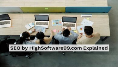 SEO by HighSoftware99.com: Honest Breakdown — What It Is, What It Costs and Whether Google Will Punish You for Using It In 2026