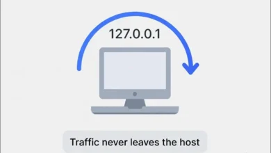 127.0.0.1:62893: Meaning, OS Differences, Security Check & Troubleshooting