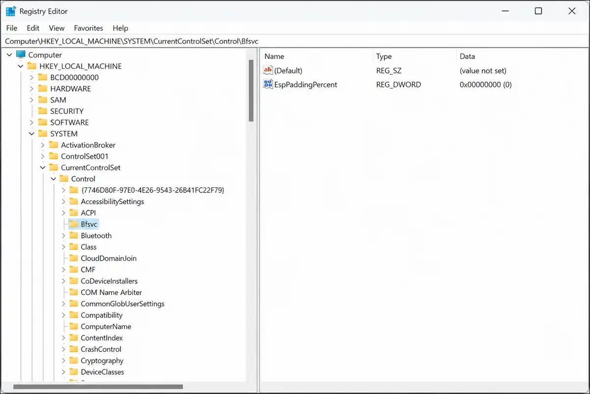 Registry Editor ESP padding percent tweak for Windows 11 0x70 fix