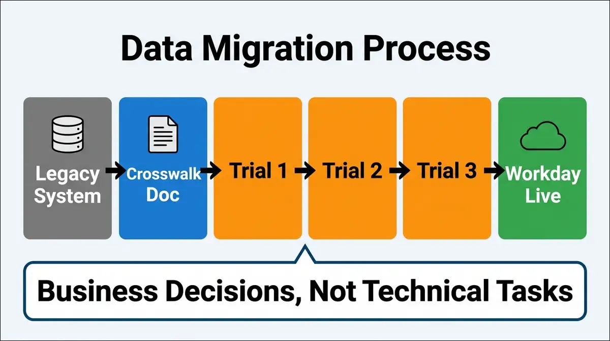 Gantt chart timeline showing Workday implementation phases over 24 months including planning, build, testing, training, go-live milestone, hypercare, and optimization with month markers